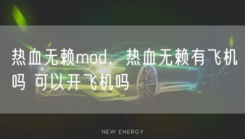 热血无赖mod，热血无赖有飞机吗 可以开飞机吗