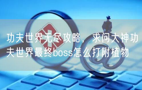 功夫世界无尽攻略，求问大神功夫世界最终boss怎么打附植物