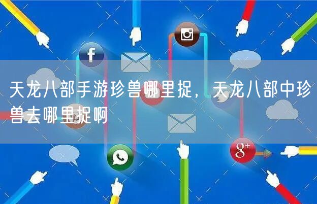 天龙八部手游珍兽哪里捉，天龙八部中珍兽去哪里捉啊
