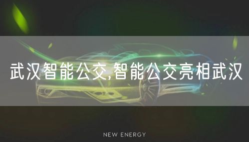 武汉智能公交,智能公交亮相武汉