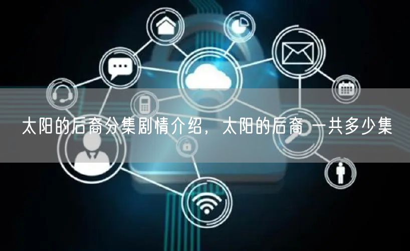 太阳的后裔分集剧情介绍，太阳的后裔 一共多少集
