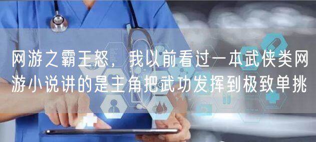 网游之霸王怒，我以前看过一本武侠类网游小说讲的是主角把武功发挥到极致单挑