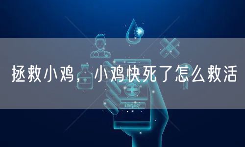 拯救小鸡，小鸡快死了怎么救活