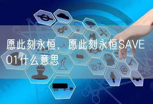 愿此刻永恒，愿此刻永恒SAVE 01什么意思