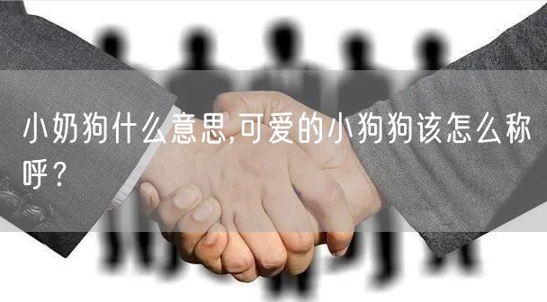 小奶狗什么意思,可爱的小狗狗该怎么称呼？