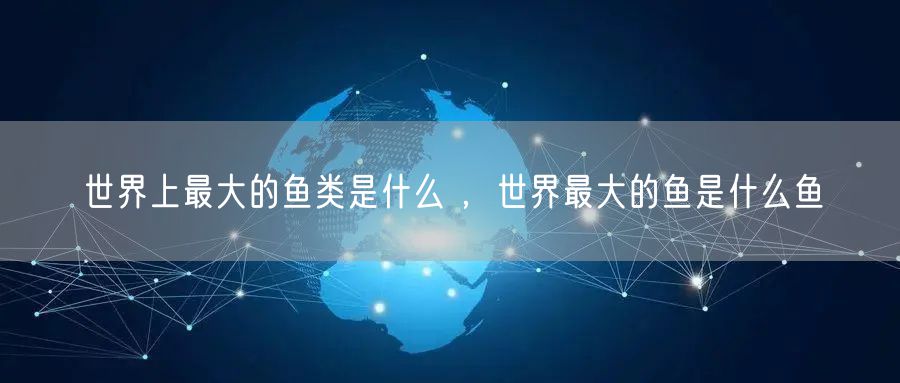 世界上最大的鱼类是什么 ，世界最大的鱼是什么鱼