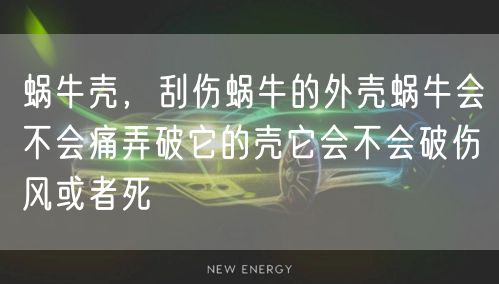 蜗牛壳，刮伤蜗牛的外壳蜗牛会不会痛弄破它的壳它会不会破伤风或者死