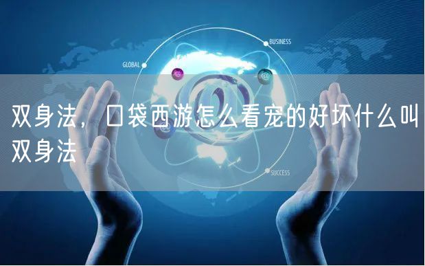 双身法，口袋西游怎么看宠的好坏什么叫双身法