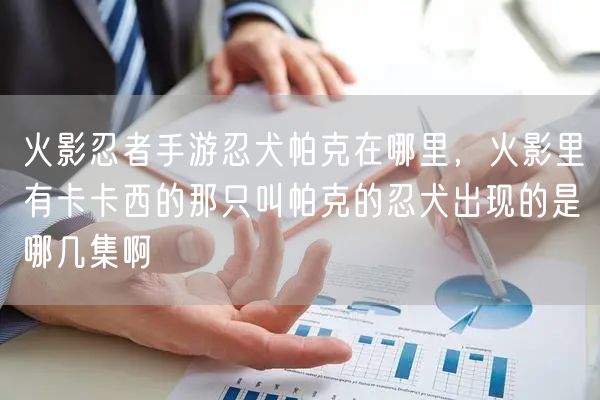 火影忍者手游忍犬帕克在哪里，火影里有卡卡西的那只叫帕克的忍犬出现的是哪几集啊