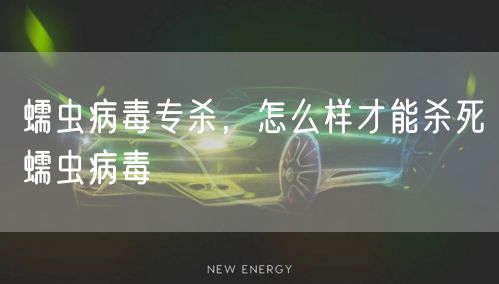 蠕虫病毒专杀，怎么样才能杀死蠕虫病毒