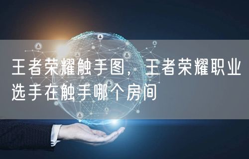 王者荣耀触手图，王者荣耀职业选手在触手哪个房间
