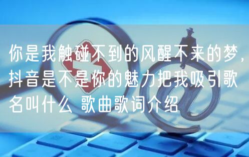 你是我触碰不到的风醒不来的梦，抖音是不是你的魅力把我吸引歌名叫什么 歌曲歌词介绍