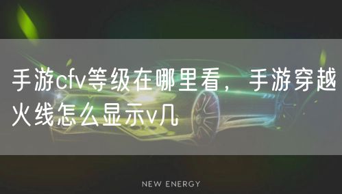 手游cfv等级在哪里看，手游穿越火线怎么显示v几
