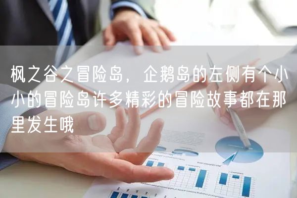 枫之谷之冒险岛，企鹅岛的左侧有个小小的冒险岛许多精彩的冒险故事都在那里发生哦