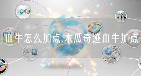 血牛怎么加点,木瓜奇迹血牛加点