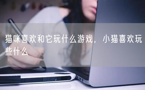 猫咪喜欢和它玩什么游戏，小猫喜欢玩些什么