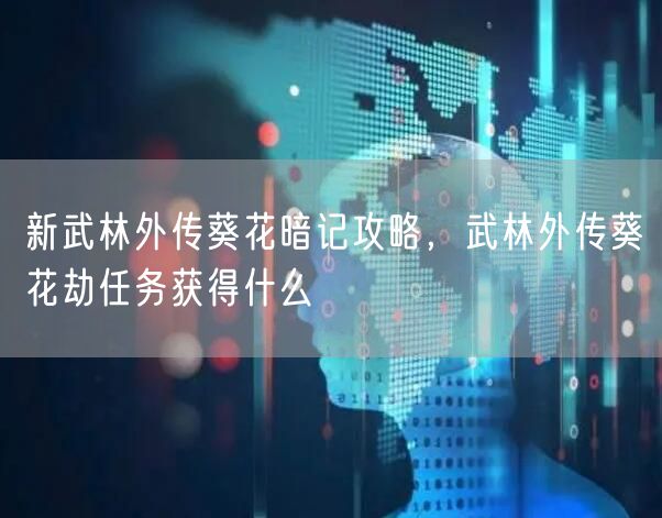 新武林外传葵花暗记攻略，武林外传葵花劫任务获得什么