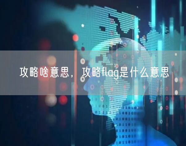 攻略啥意思，攻略flag是什么意思