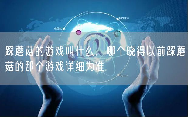 踩蘑菇的游戏叫什么，哪个晓得以前踩蘑菇的那个游戏详细为准