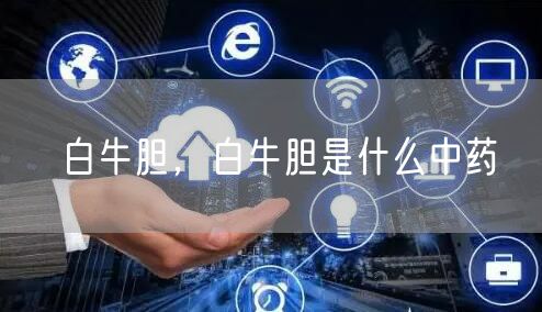 白牛胆，白牛胆是什么中药