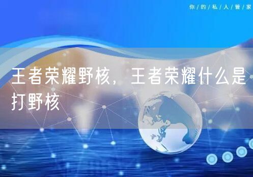 王者荣耀野核，王者荣耀什么是打野核