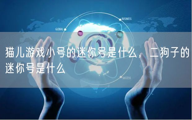 猫儿游戏小号的迷你号是什么，二狗子的迷你号是什么