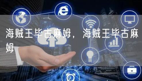 海贼王毕古麻姆，海贼王毕古麻姆