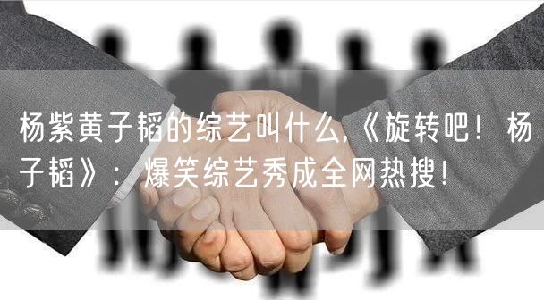 杨紫黄子韬的综艺叫什么,《旋转吧！杨子韬》：爆笑综艺秀成全网热搜！