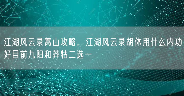 江湖风云录蒿山攻略，江湖风云录胡休用什么内功好目前九阳和莽牯二选一