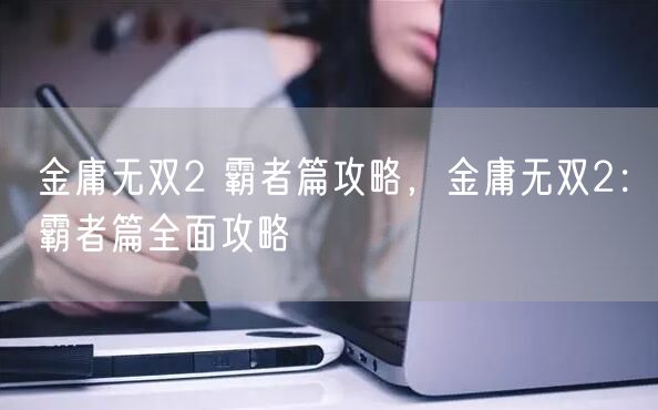 金庸无双2 霸者篇攻略，金庸无双2：霸者篇全面攻略
