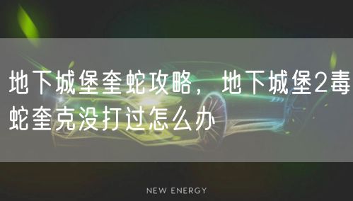 地下城堡奎蛇攻略，地下城堡2毒蛇奎克没打过怎么办