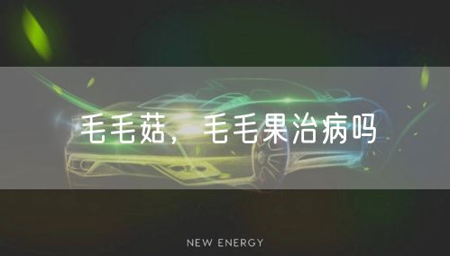 毛毛菇，毛毛果治病吗
