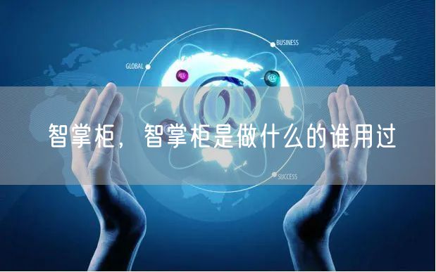 智掌柜，智掌柜是做什么的谁用过