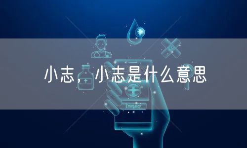 小志，小志是什么意思