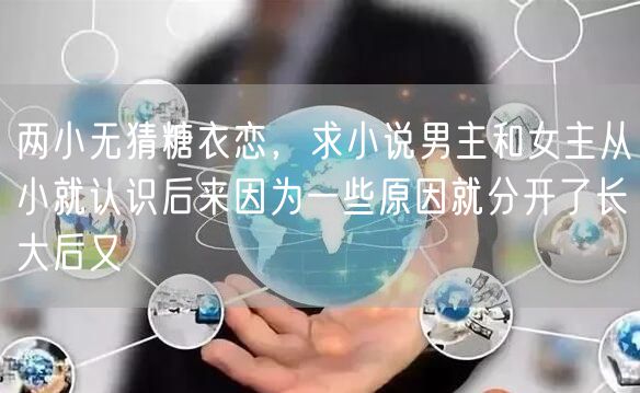 两小无猜糖衣恋，求小说男主和女主从小就认识后来因为一些原因就分开了长大后又