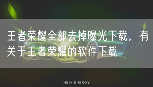 王者荣耀全部去掉曝光下载，有关于王者荣耀的软件下载