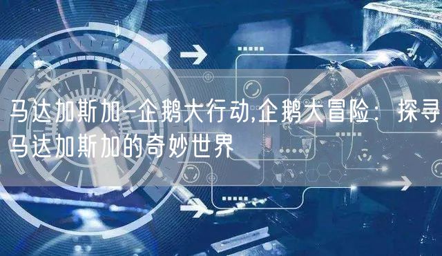 马达加斯加-企鹅大行动,企鹅大冒险：探寻马达加斯加的奇妙世界