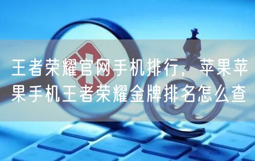 王者荣耀官网手机排行，苹果苹果手机王者荣耀金牌排名怎么查