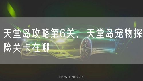 天堂岛攻略第6关，天堂岛宠物探险关卡在哪