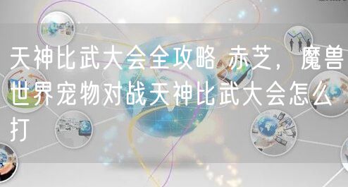 天神比武大会全攻略 赤芝，魔兽世界宠物对战天神比武大会怎么打