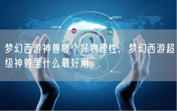 梦幻西游神兽哪个好物理性，梦幻西游超级神兽里什么最好用