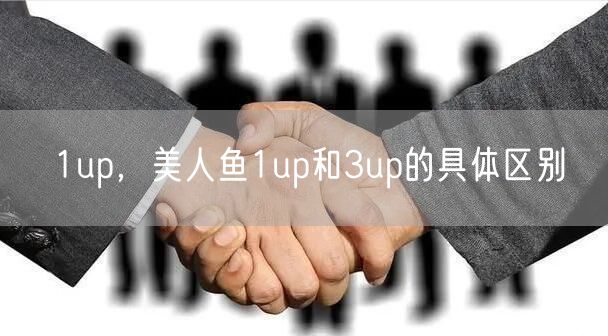 1up，美人鱼1up和3up的具体区别
