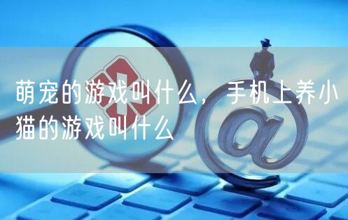 萌宠的游戏叫什么，手机上养小猫的游戏叫什么