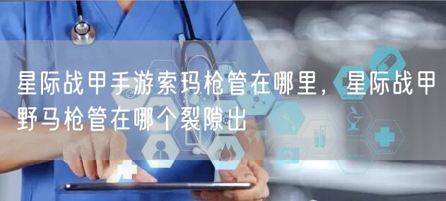星际战甲手游索玛枪管在哪里，星际战甲野马枪管在哪个裂隙出