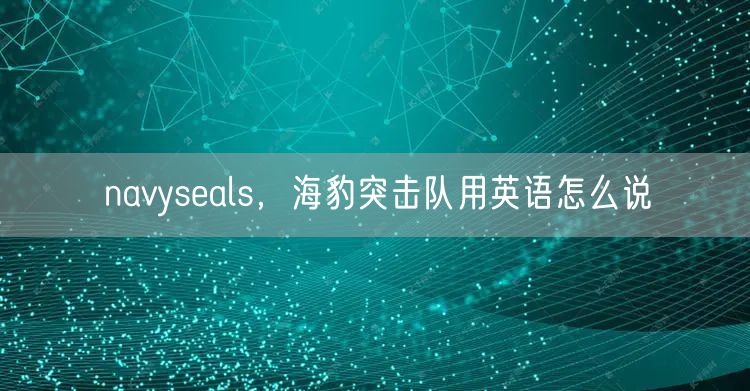 navyseals，海豹突击队用英语怎么说