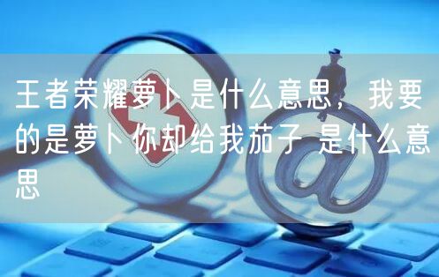 王者荣耀萝卜是什么意思，我要的是萝卜你却给我茄子 是什么意思