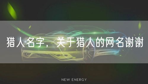 猎人名字，关于猎人的网名谢谢