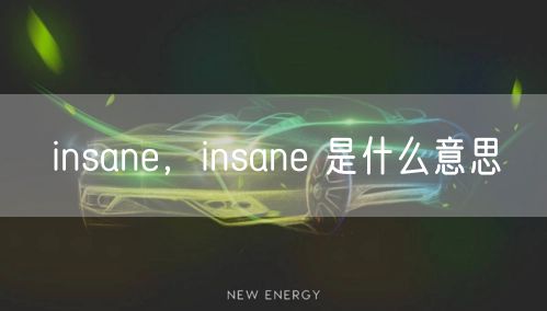 insane，insane 是什么意思