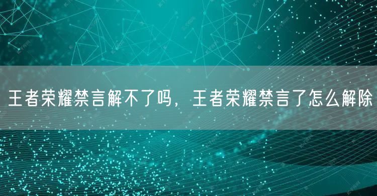 王者荣耀禁言解不了吗，王者荣耀禁言了怎么解除