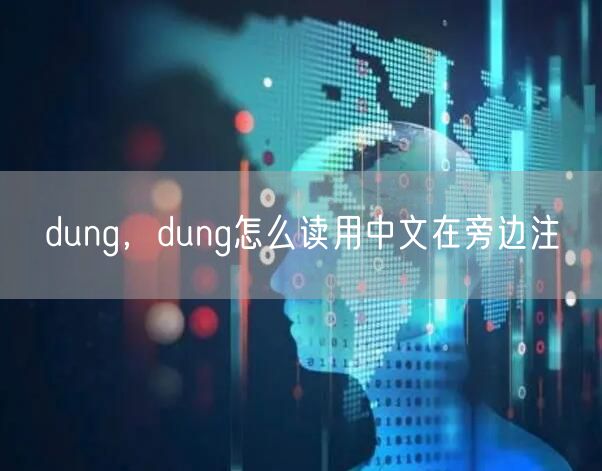 dung，dung怎么读用中文在旁边注